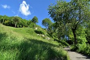 Al Pizzo Grande e al Monte Molinasco da Alino di S. Pellegrino il 25 maggio 2020-FOTOGALLERY